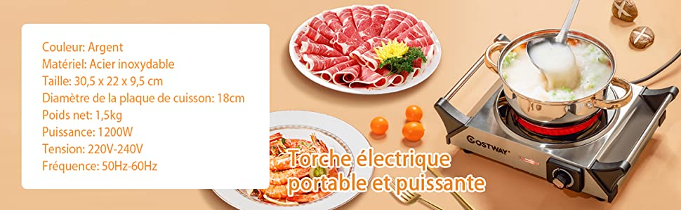Cuisinière Électrique Portable,Plaque de Cuisson en Fonte,Plaque