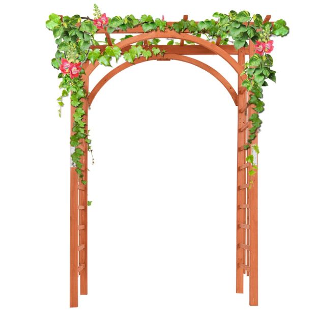 Arche en Treillis de Jardin 230CM avec Porte pour Plantes Grimpantes Arceau  à Rosiers en Métal Décoration Noir - Costway
