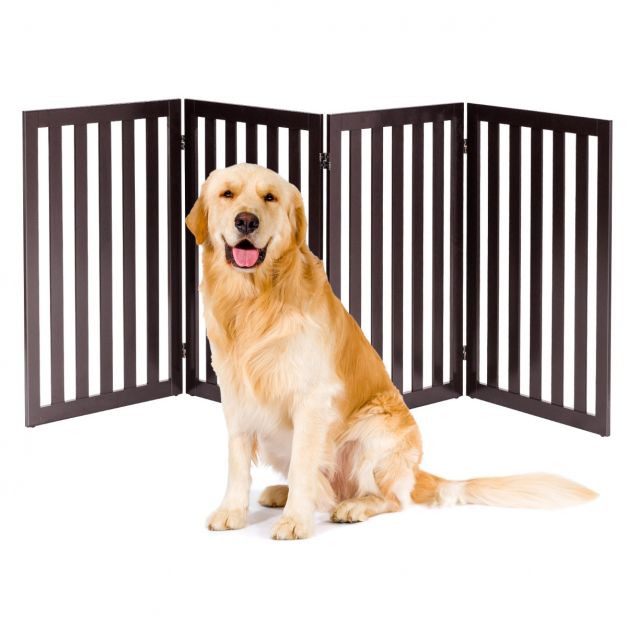 Limitez l'accès avec une barrière d'escalier pour chien